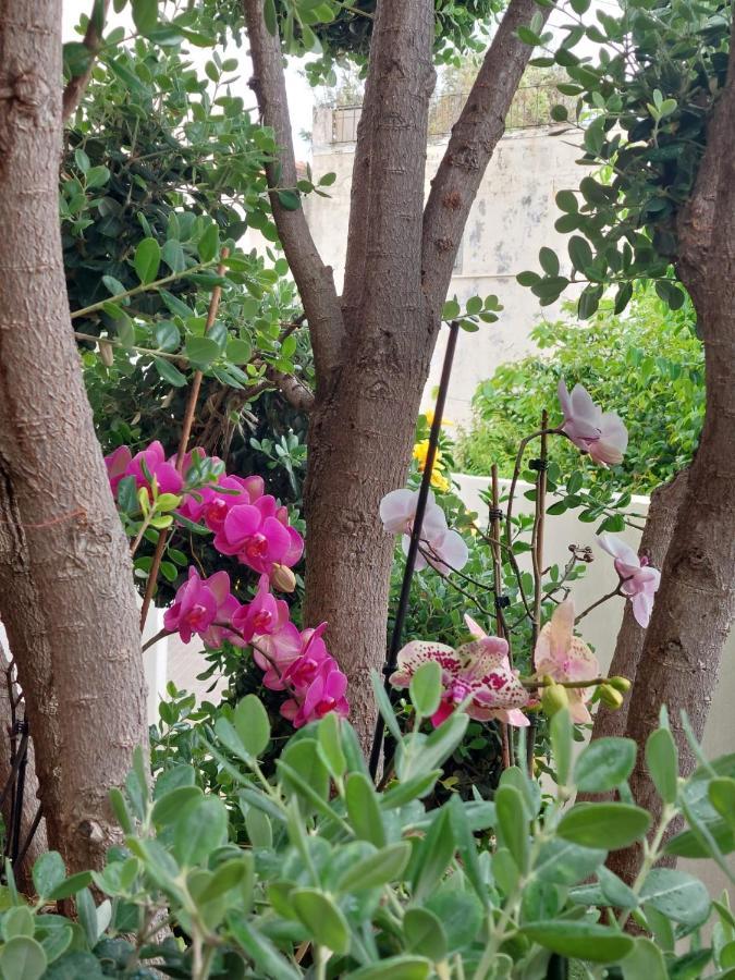 Casa D' Avo Zeza Lejlighed Jardim do Mar Eksteriør billede